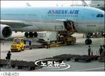 대한항공 착륙 중 엔진 덮개 파손, 수십분간 폐쇄소동