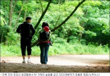솔향기 솔솔~ 푸른 숲으로 떠나는 여름여행!