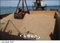 환경파괴하는 모래채취 불허는 합당하다