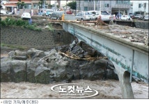 엄마, 나 집 앞인데… 태풍에 휩쓸려간 아까운 생명들