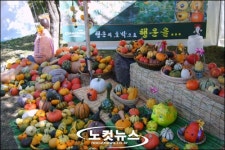 전남 장성에 가면 호박이 넝쿨째 굴러온다