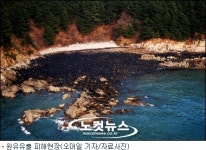 타르 피해 설 대목 앞둔 전남지역 수산시장 비상