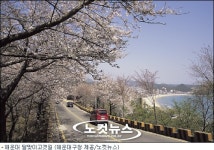 해운대서 월광욕 즐긴다…문탠로드 개설