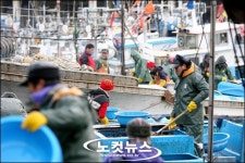 [화보] 사람내음, 바다내음 가득한 항구를 가다…