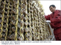 기름유출 피해 없는 영광굴비마저 찬밥 신세…