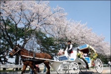 서울경마공원, 봄맞이 축제