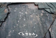 경북 의성은 아기공룡 놀이터? 세계 최대 공룡 발자국 발견
