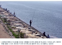 완소 자전거 코스 바다 위에서 씽씽