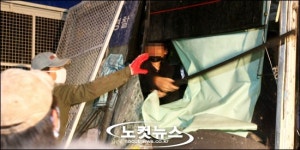 쇠고기 곤봉