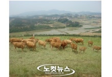 친환경 방목축산으로 억대 부농 실현