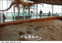 우항리 공룡화석지 세계유산 등재 잰걸음