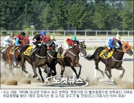 20일 제9경주 SBS배 대상경주 싱겁다고...