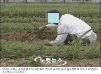 무더위 속 농사일 하던 60대 농민 숨져