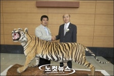 북한산 호랑이 표본 처음 한국 왔다