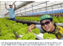 3억 청년, 상추에게 힙합을 가르치다