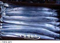 아름다운 섬 거문도에서 먹는 갈치맛