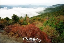[남도의 가을]구름도 쉬어가는 지리산