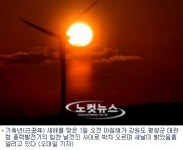 [영상]기축년에 떠오른 첫 태양, 시민들 남산서 ‘일출맞이’