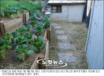 동네 주민들이 예술가- 동네 예술가 프로젝트