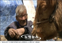 워낭소리, 외국인도 본다