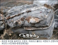 석면 덩어리 조경石 전국에 유통…정부 뒷짐만