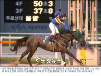 <경마>백파, 경마 사상 두번째 미국 원정길