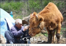 영화인협의회, 워낭소리 불법 복제 강력 대처 촉구