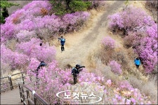 춘향(春香)에 취해…
