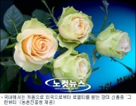 녹색기술공사주 | [영상] 볼수록 신기한 '녹색기술' 한자리에 모인다