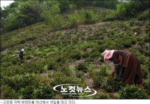 고운 최치원 · 남명 조식을 품은, 산청 지리산 자락