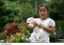 농게잡고 뗏목타고, 체험마을을 찾아서