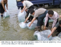 안동 임하댐 쏘가리 어린고기 방류