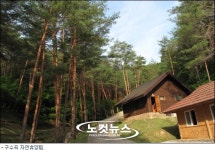 울진 친환경농업엑스포, 체험학습에 피서까지