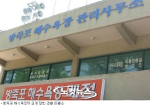 여수 방죽포 해수욕장 개장 따로 안전 따로