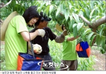 취업준비보다 땀의 가치를 배워요, 대학생들의 농활