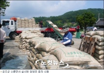 성주군 농민, 여름철 돈 가뭄에 청보리가 효자네