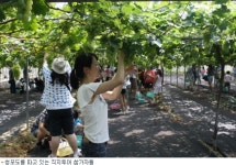 김천 관광상품 직지나이트투어 만원사례