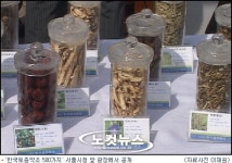 동의보감에 들어간 약재 구경하러 오세요