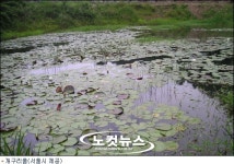 한강 이촌에 밤섬 규모 대규모 생태공원 조성