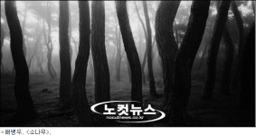 배병우,소나무사진으로 왕들과 친해졌다