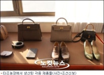 김정일, 평양타조농장에 특별감사