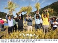 노무현의 꿈 봉하 친환경 쌀, 첫 결실맺다