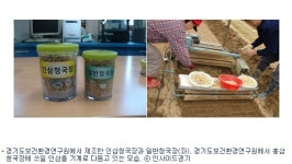 홍삼청국장, 신종플루 막는다?