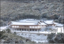 전남 산림박물관, 국내 유일 난대림 테마박물관