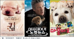 개들의 스크린 공략? 하치이야기, 마음이2 등 눈길