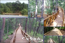 부산 범방산 휠체어 타고 숲길 오른다