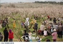 봄내음 가득한 남도에서 봄꽃축제 만발