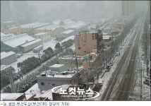 부산 5년 만에 폭설 내 집·점포 앞 눈 치우세요