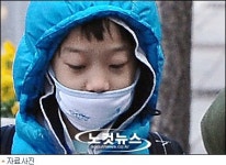 개나리 만개했지만 방한마스크 잘팔리네