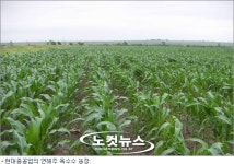현대중공업, 러시아 농장서 곡물 6천톤 수확